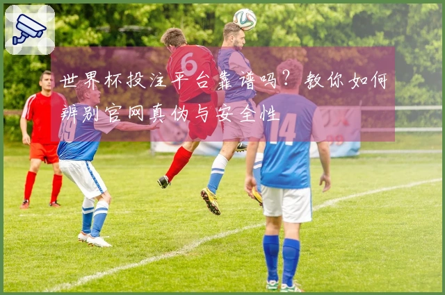 世界杯投注平台靠谱吗？教你如何辨别官网真伪与安全性
