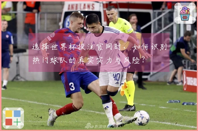 选择世界杯投注官网时，如何识别热门球队的真实实力与风险？
